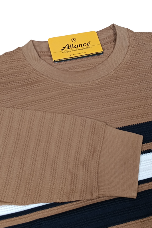 Men Brown Striped Crew Neck Knit T-Shirt | Textured 251200372